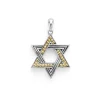 Amulets<LAGOS Two-Tone Star Of David Amulet